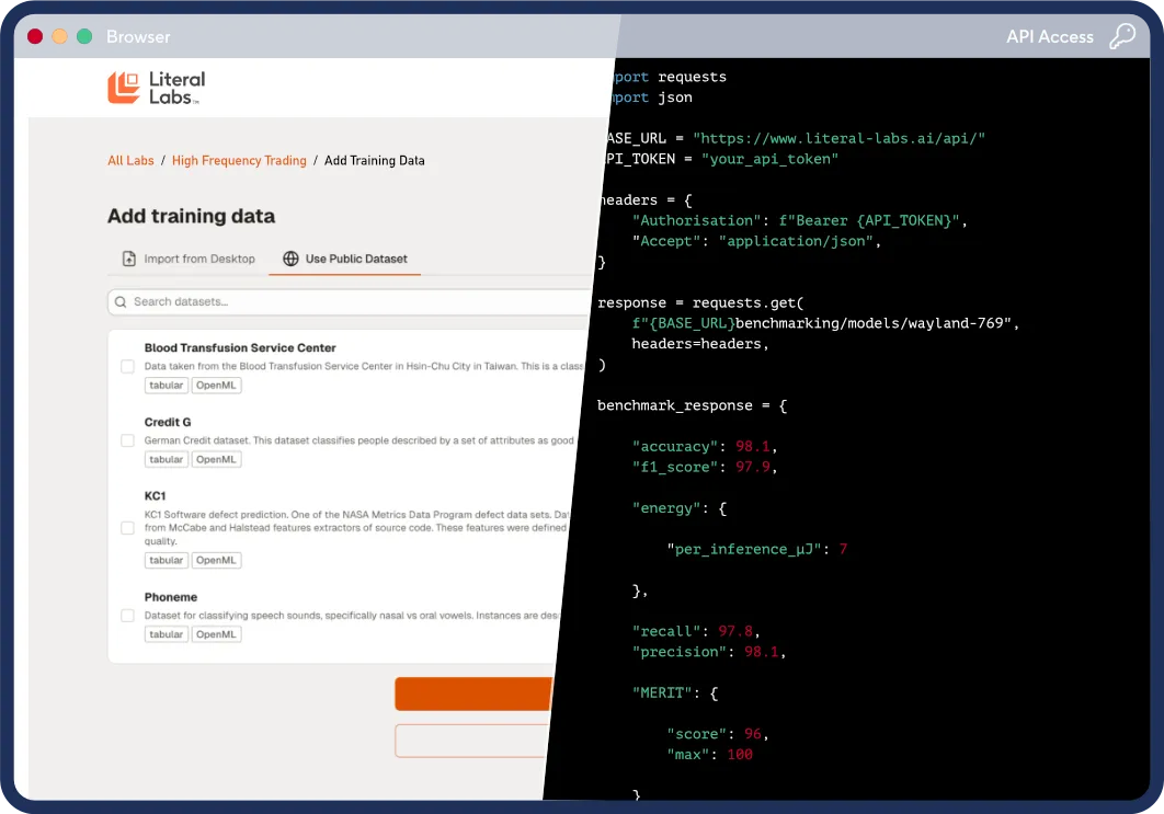Screenshot of LBN training platform